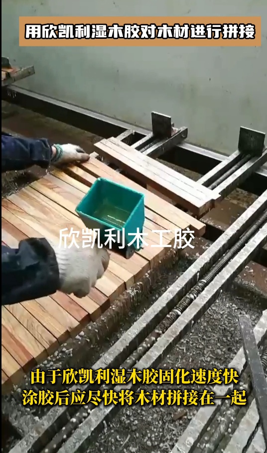 用欣凯利湿木胶对木材进行拼接