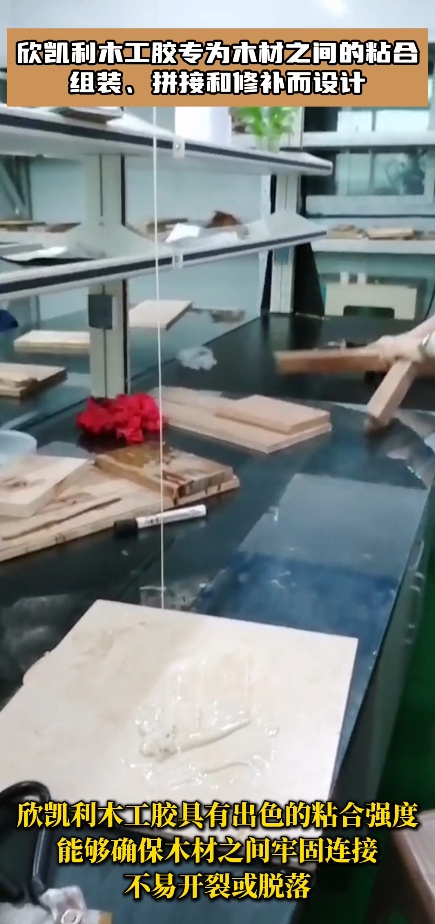 欣凯利木工胶专为木材之间的粘合、组装、拼接和修补而设计