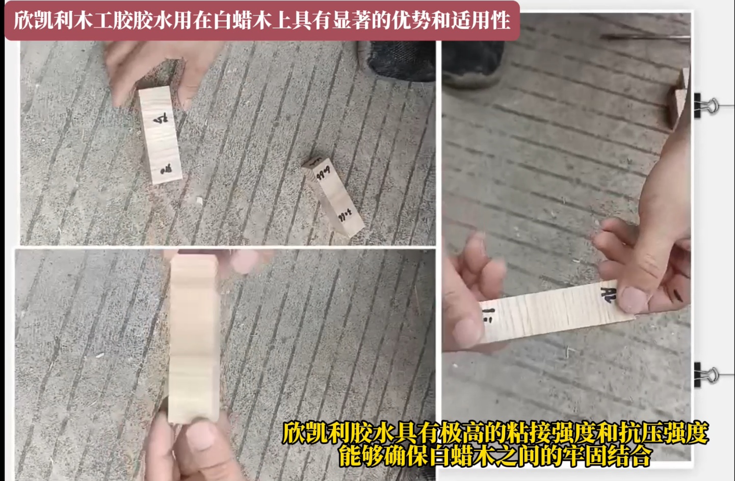 欣凯利木工胶胶水用在白蜡木上具有显著的优势和适用性