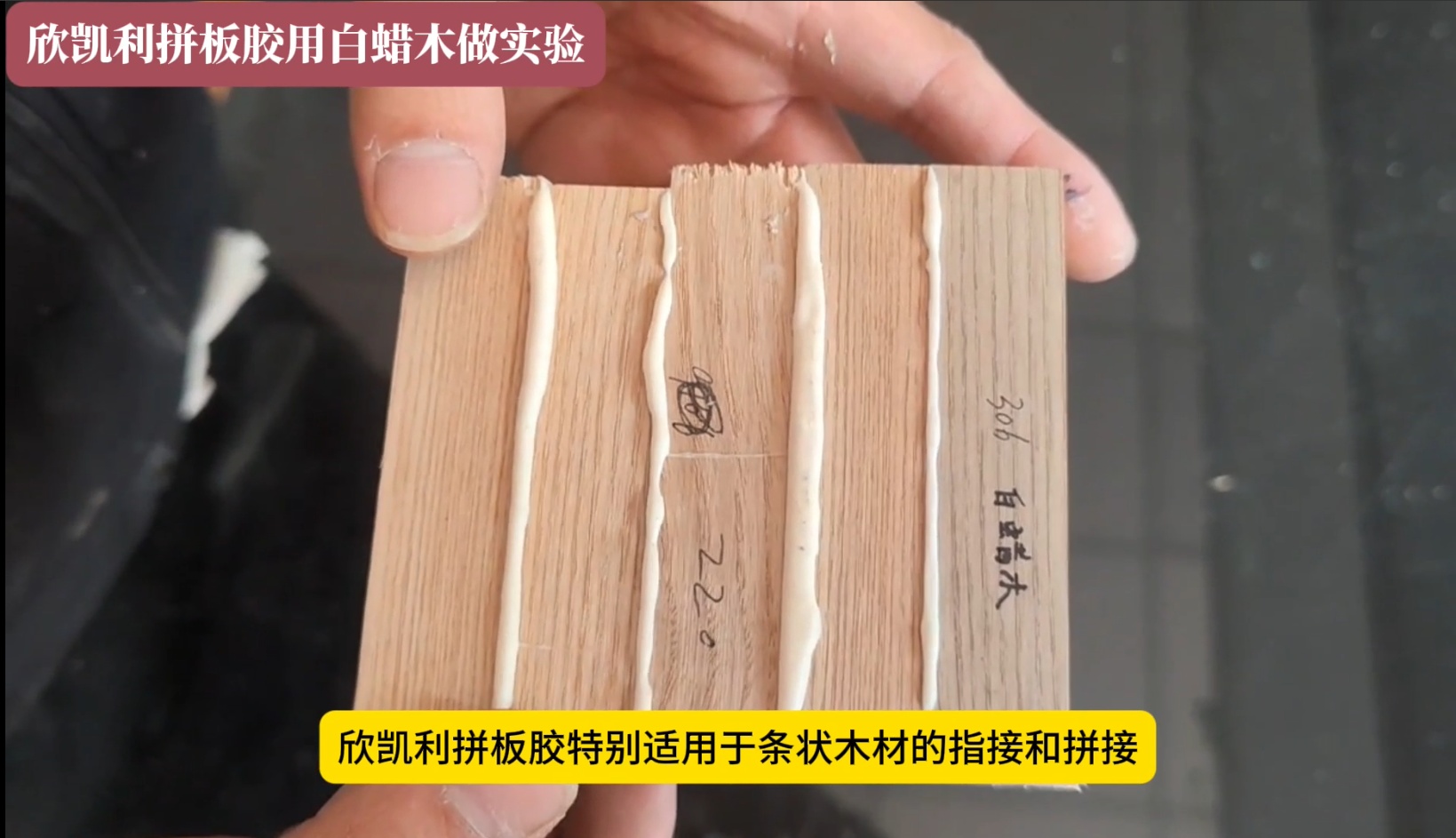 欣凯利硬木拼板胶的适用木材种类有哪些