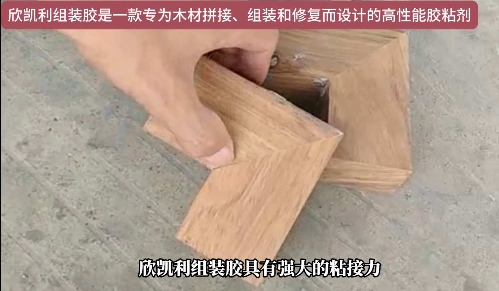 欣凯利组装胶适用于多种木材的粘接，包括但不限于硬木