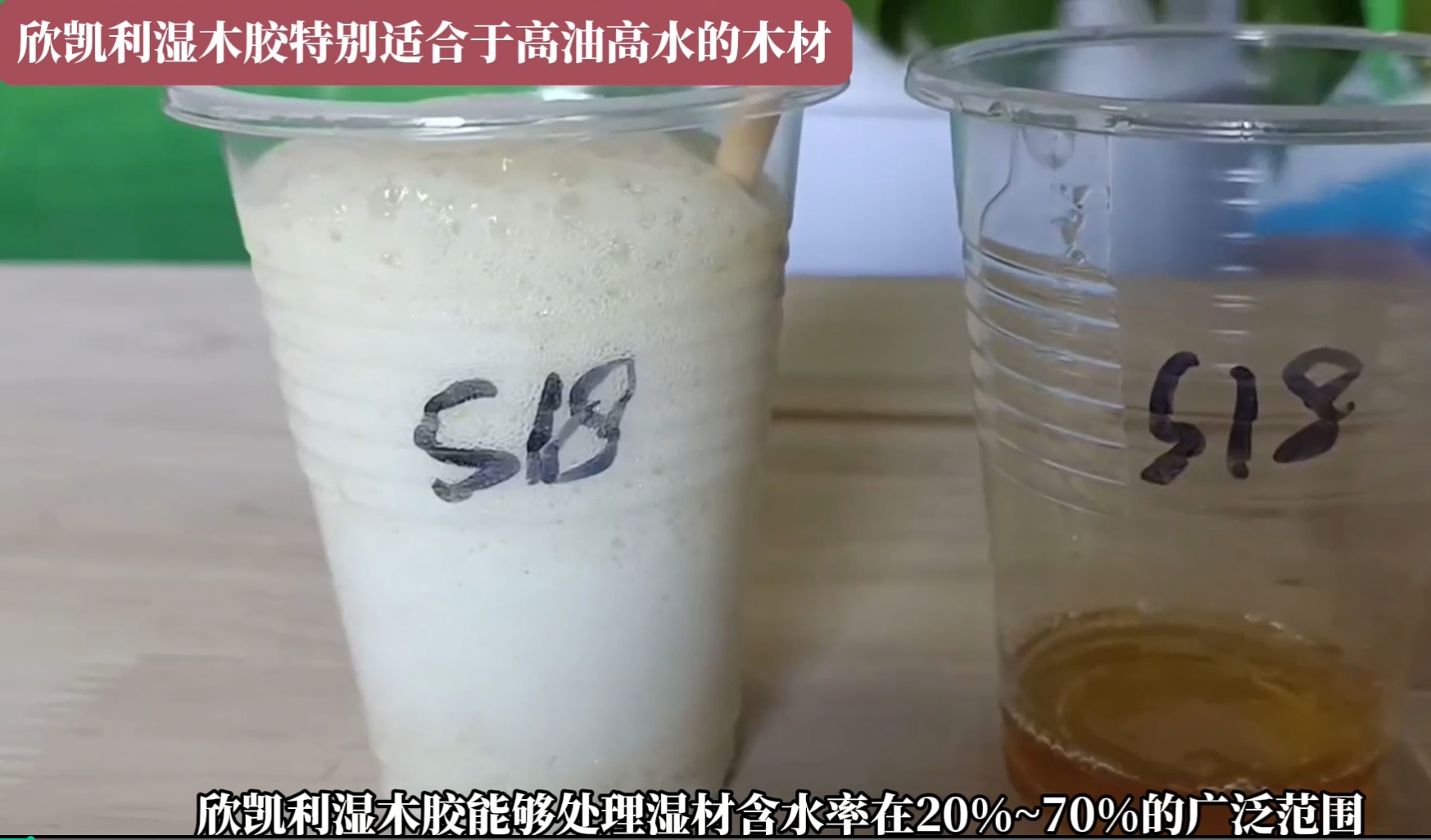 欣凯利湿木胶特别适合于高油高水的木材，快干、快固化